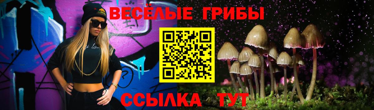 Екатеринбург  Псилоцибиновые грибы Psilocybine cubensis  купить наркотик  Вход с VPN  Псилоцибиновые грибы мицелий 